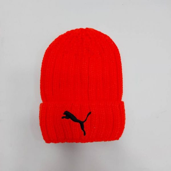کلاه زمستانی رنگی پوما (KLT-T133)